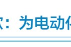 2022失意车企对对碰:广汽讴歌折戟、斯柯达神伤