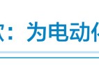 2022失意车企对对碰：广汽讴歌折戟、斯柯达神伤